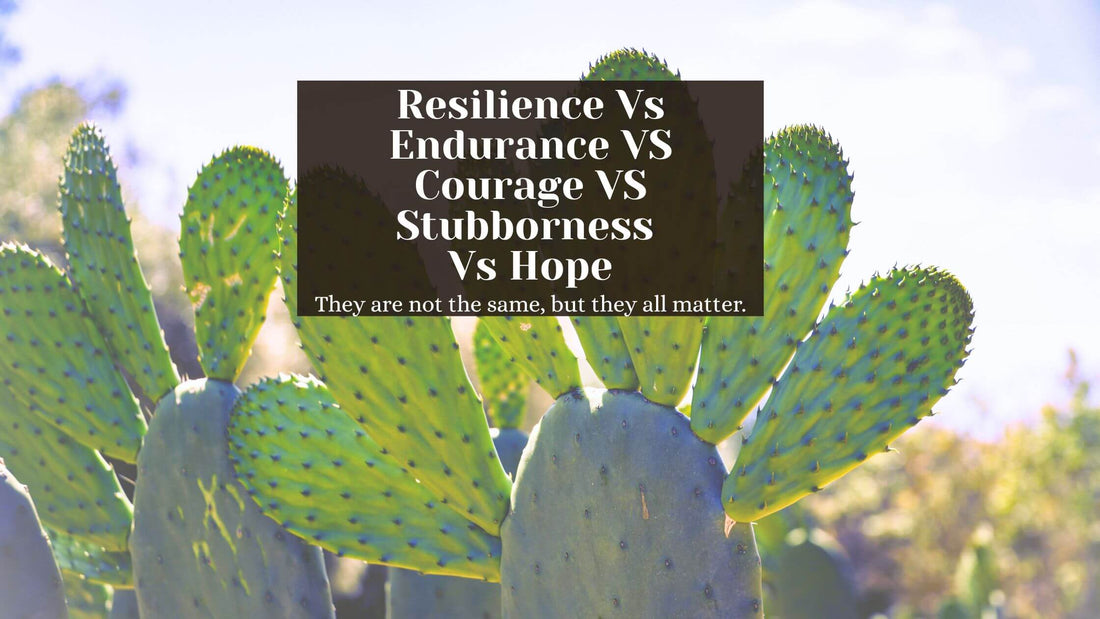 Soft background of cacti and overlay text about Resilience